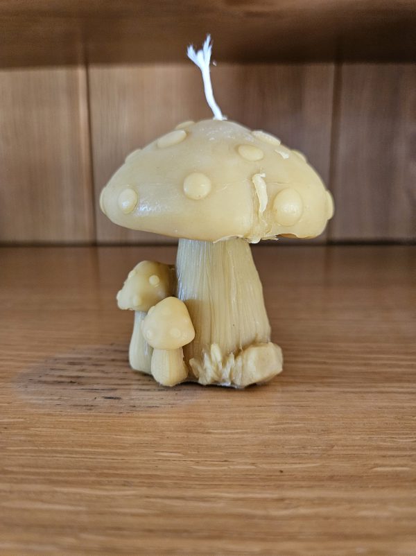 Bougie champignon
